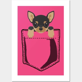 Pocket Chihuahua Posters and Art